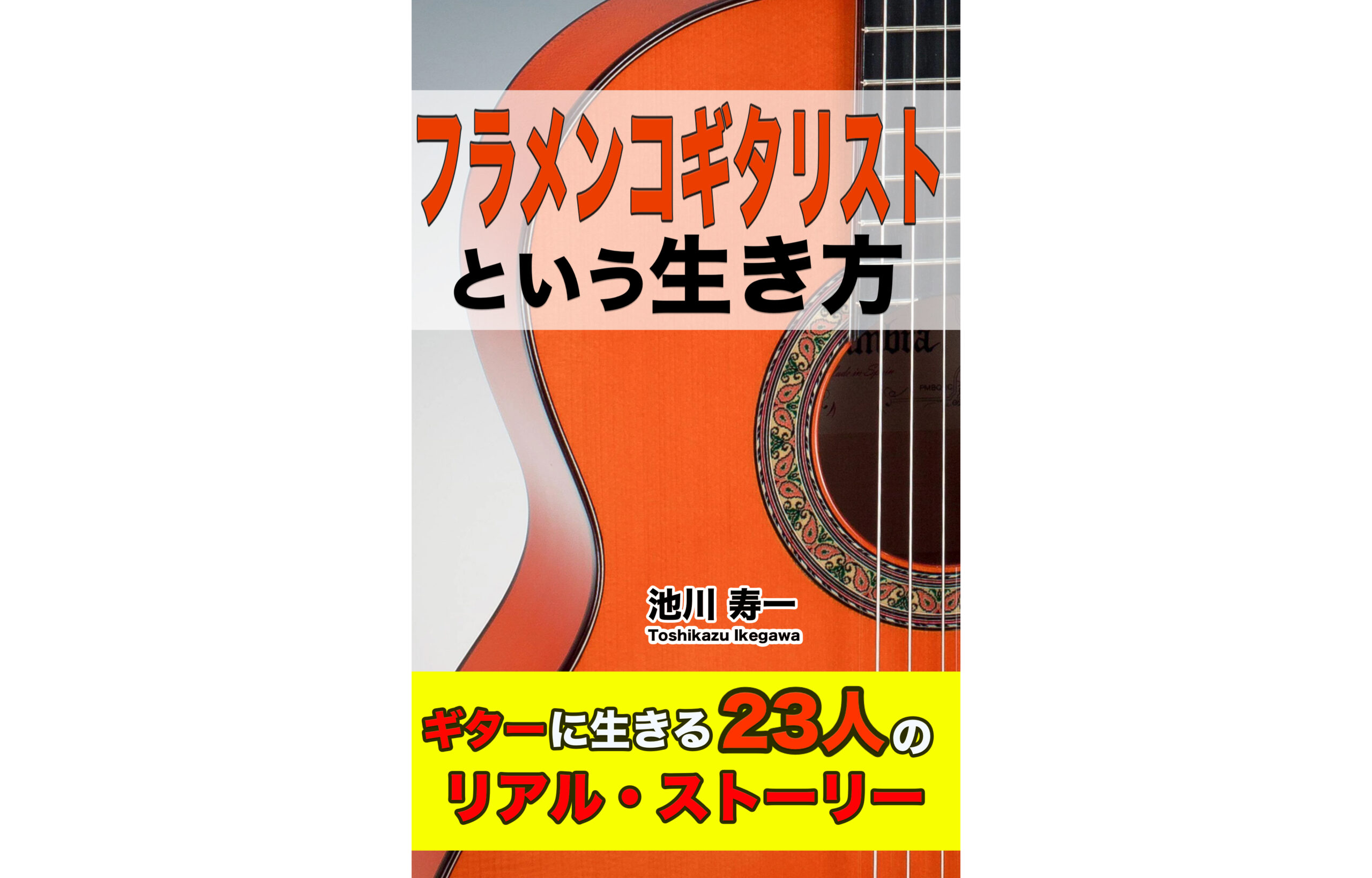 ギター フラメンコ RICARDO CARPiO エキストラコンチェルト