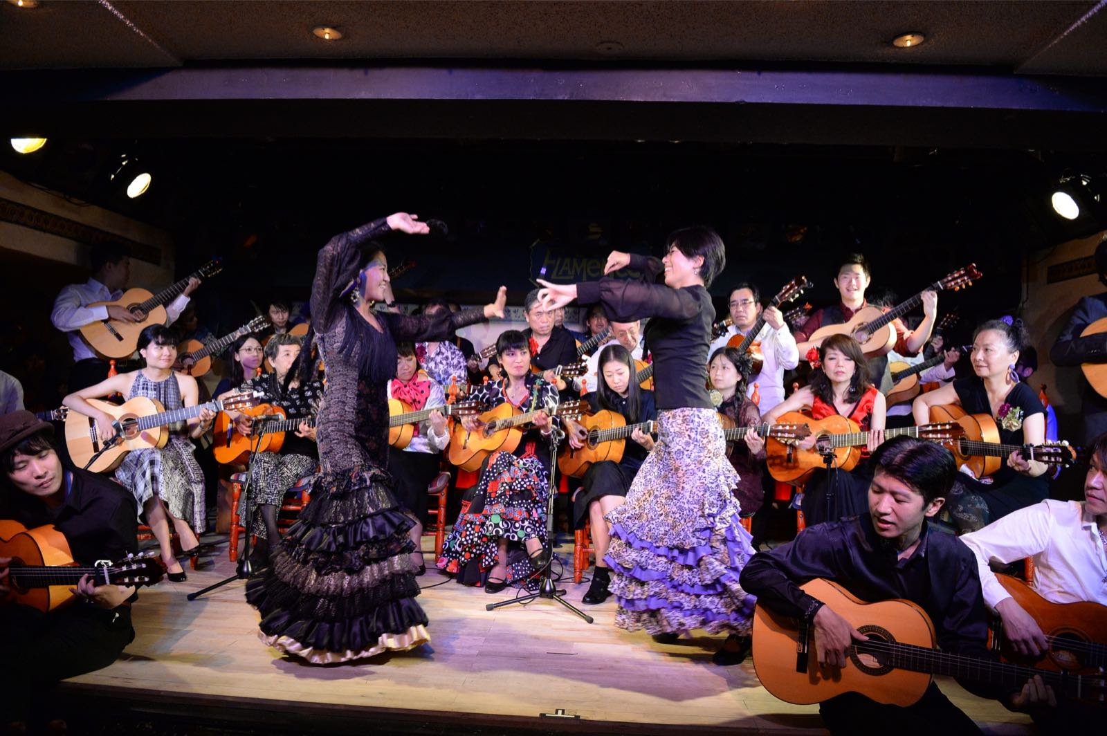 情熱的なフラメンコギター