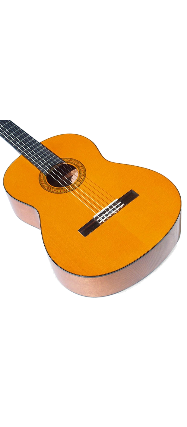 YAMAHA Guitar