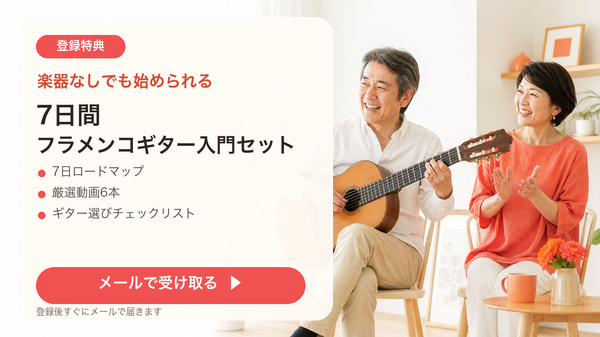 7日間 フラメンコギター入門セット